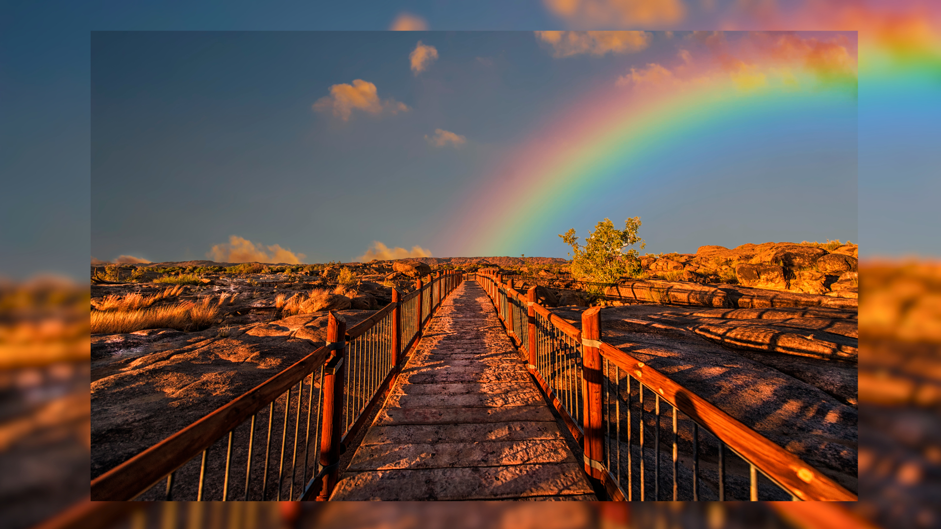 Al momento stai visualizzando L’Arcobaleno delle Relazioni: Benefici Scientifici e Consigli per Legami Sani