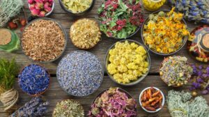 Scopri di più sull'articolo Āyurveda e Yoga